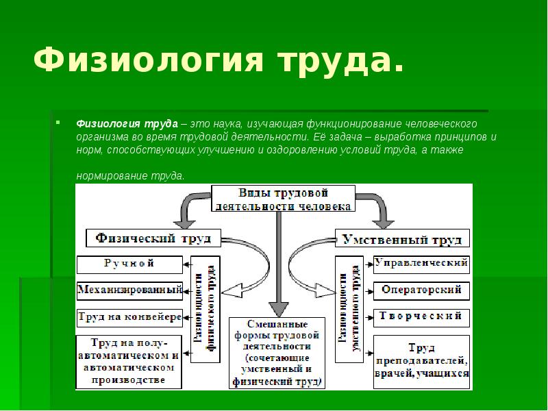 Разделы физиологии физиология труда