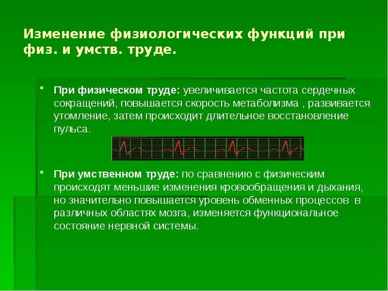 Физиологические изменения при умственном труде