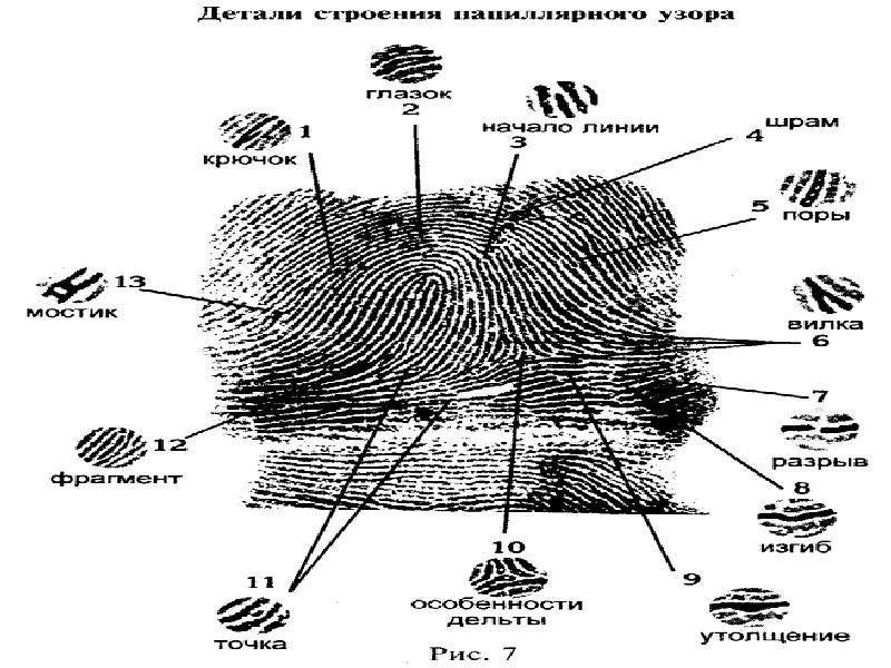 Задачи по криминалистике в картинках с решениями