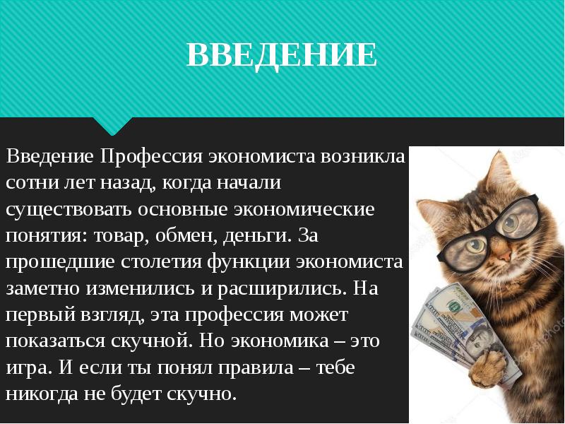 Презентация введение в профессию