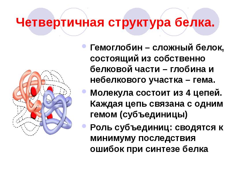 Четвертичная структура белка картинка