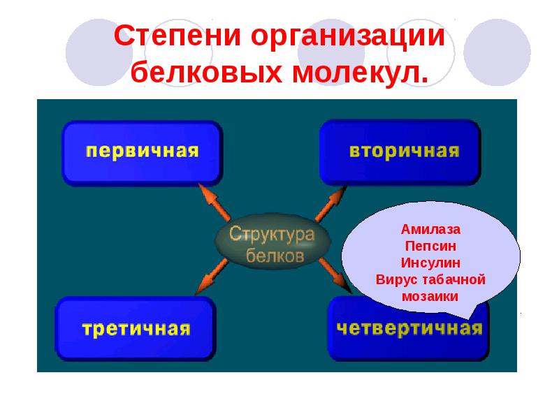 Организация белков. Степень организации. Инсулин вирус. Сфера жизни белки поведения. По степени организации.