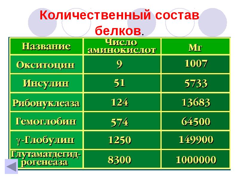 Количественный состав команды