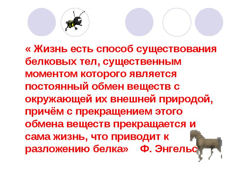 Жизнь есть способ существования белковых тел. Способ существования объекта, системы, организма:. Это существенный момент. В чем жизнь нашего существования.