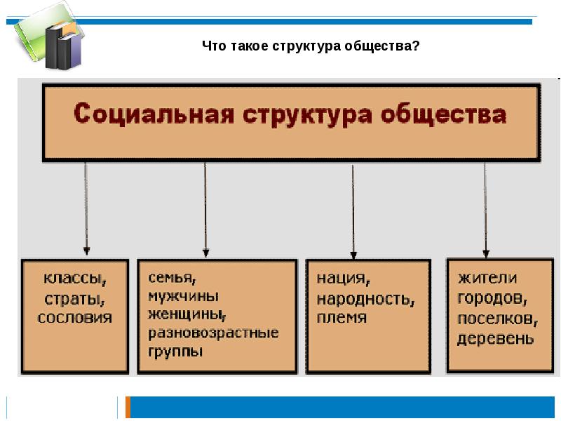 Что такое структура. Структура. Фруктура. Структура общества. Горизонтальная структура общества.