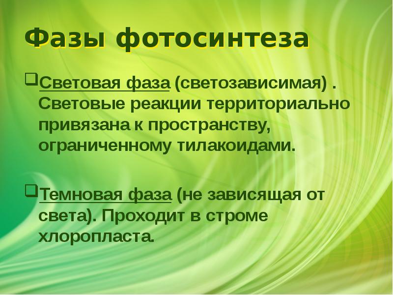 Фазы фотосинтеза
Световая фаза (светозависимая) . Световые реакции территориально привязана к Фазы фотосинтеза
Световая фаза (светозависимая) . Световые реакции территориально привязана к