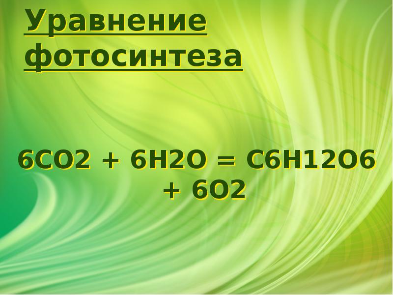 Уравнение фотосинтеза
6CO2 + 6H2O = C6H12O6 + 6O2 Уравнение фотосинтеза
6CO2 + 6H2O = C6H12O6 + 6O2