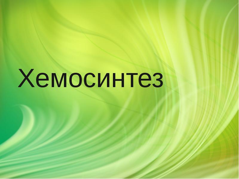 Биология фотосинтез хемосинтез