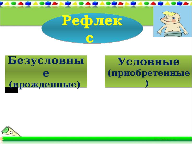 Условные приобретенные. Рефлекторная регуляция презентация. Рефлекторная регуляция 8 класс презентация. Рефлекторная регуляция 8 класс биология. Рефлекторная регуляция 8 класс биология презентация.