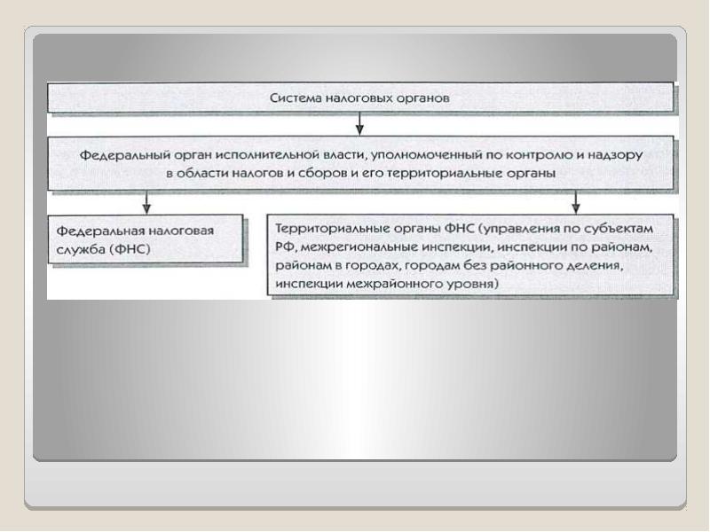 Налогообложение физических и юридических лиц презентация