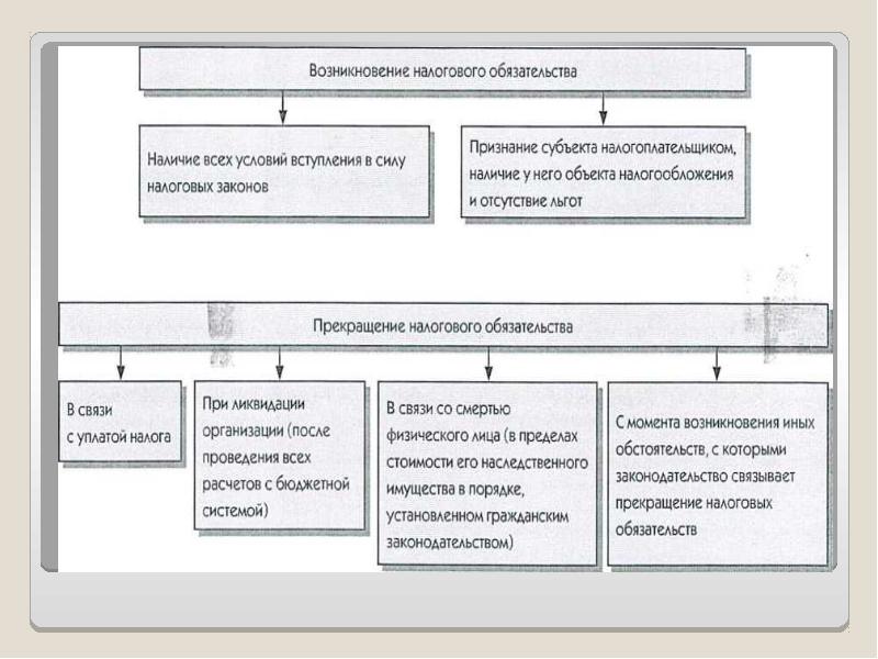 Налогообложение физических и юридических лиц презентация