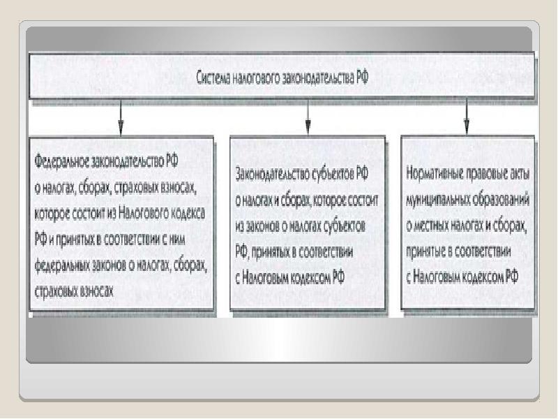 Налогообложение физических и юридических лиц презентация