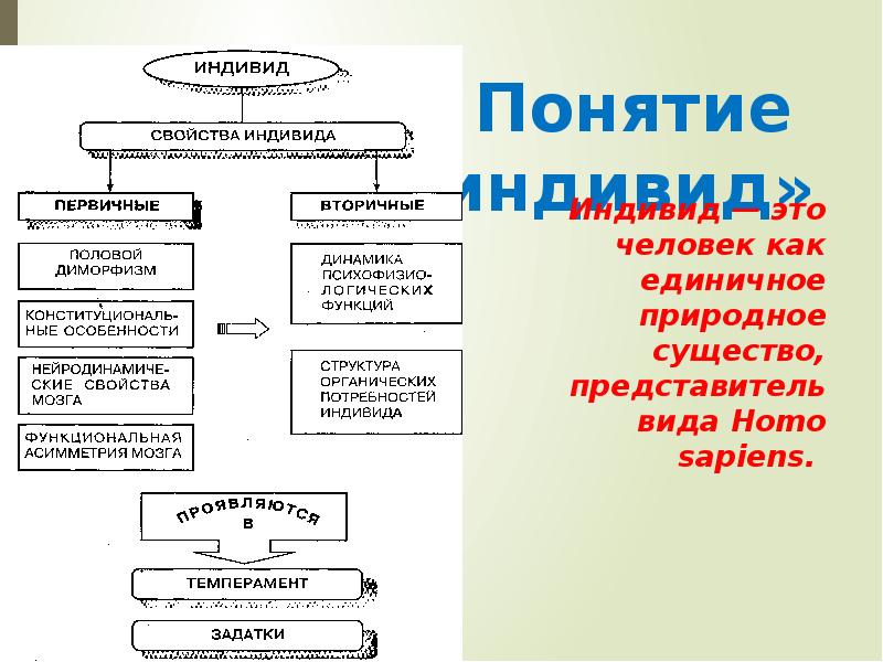 Понятие слову индивид