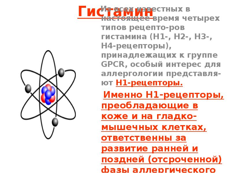 Гистамин   Из всех известных в настоящее время четырех типов