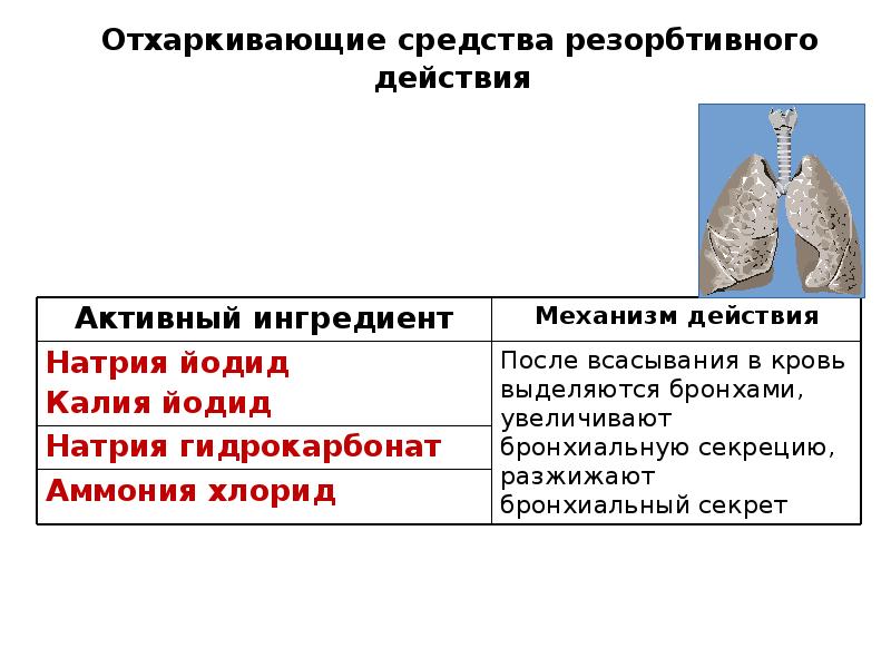 Отхаркивающие средства резорбтивного действия