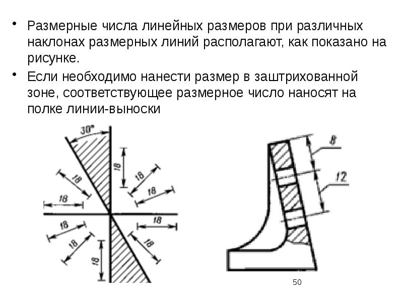 Размерное число правильно нанесено на рисунке