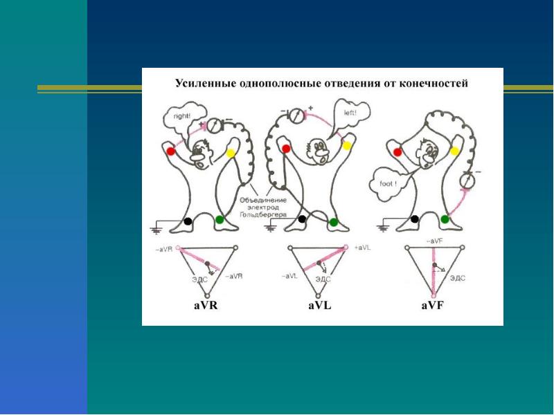 Презентация основы электрокардиографии