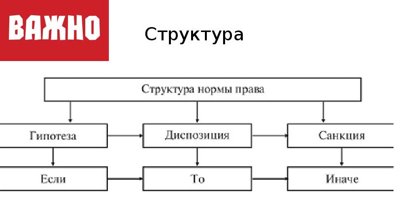 Юридические нормы схема