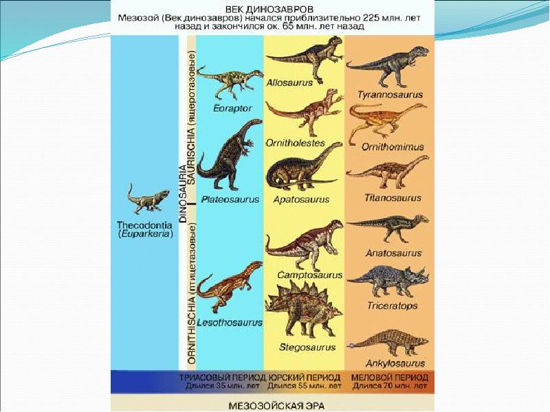 Отметь на схеме промежуток времени в течение которого на земле обитали динозавры 26