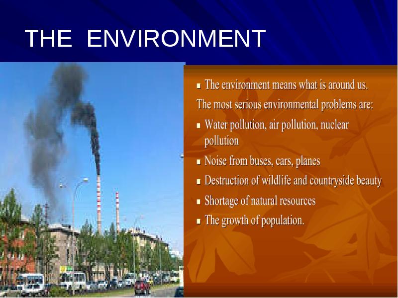 Environmental problems проект