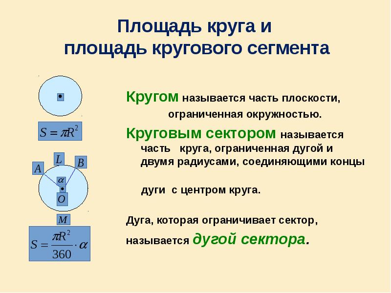 Веер имеет форму кругового сектора