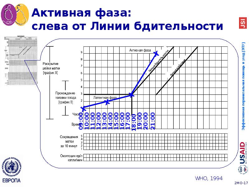 Активная фаза: слева от Линии бдительности Активная фаза: слева от Линии бдительности