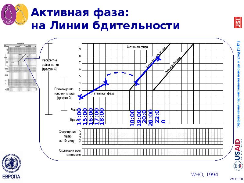 Активная фаза: на Линии бдительности Активная фаза: на Линии бдительности