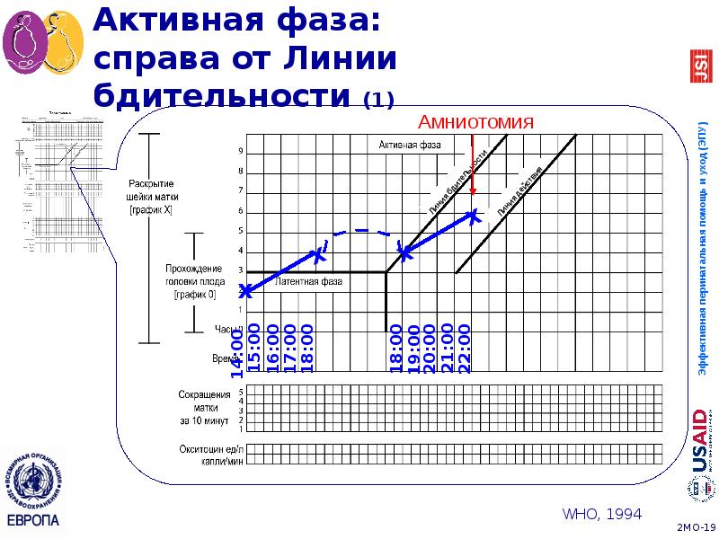 Активная фаза: справа от Линии бдительности (1) Активная фаза: справа от Линии бдительности (1)