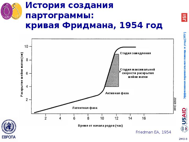 История создания партограммы: кривая Фридмана, 1954 год История создания партограммы: кривая Фридмана, 1954 год