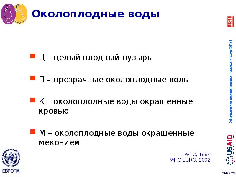 Околоплодные воды
Ц – целый плодный пузырь
П – прозрачные околоплодные Околоплодные воды
Ц – целый плодный пузырь
П – прозрачные околоплодные