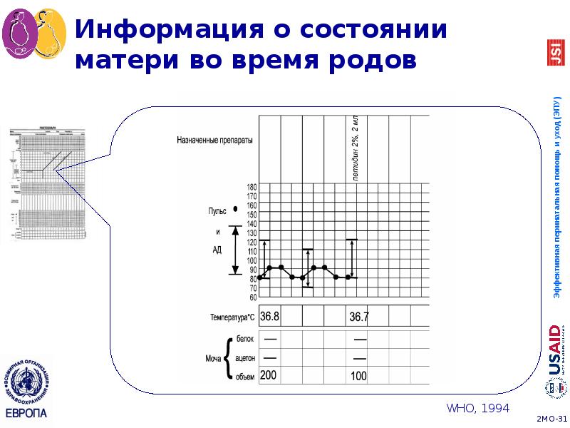 Информация о состоянии матери во время родов Информация о состоянии матери во время родов