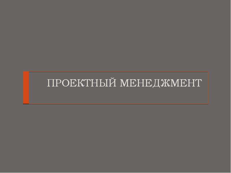 ПРОЕКТНЫЙ МЕНЕДЖМЕНТ ПРОЕКТНЫЙ МЕНЕДЖМЕНТ