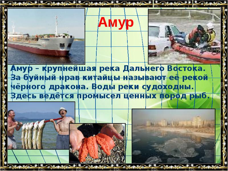 Амур Амур