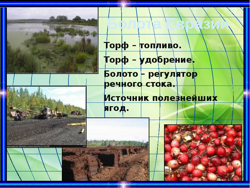 Болота Евразии Болота Евразии