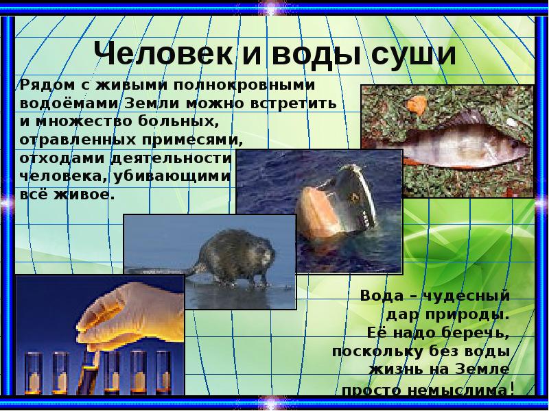 Человек и воды суши Человек и воды суши