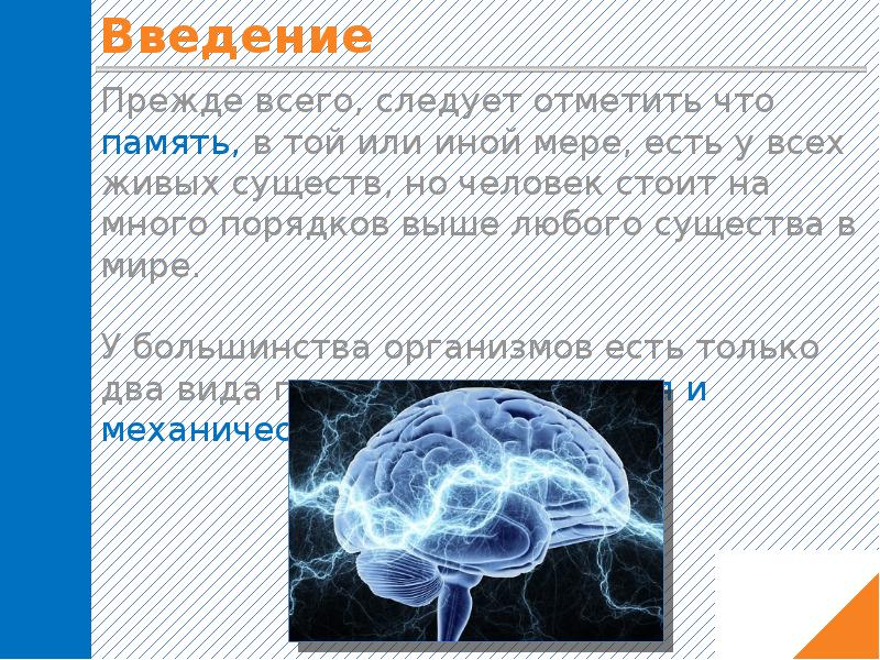 Кольца истории и национальная память презентация