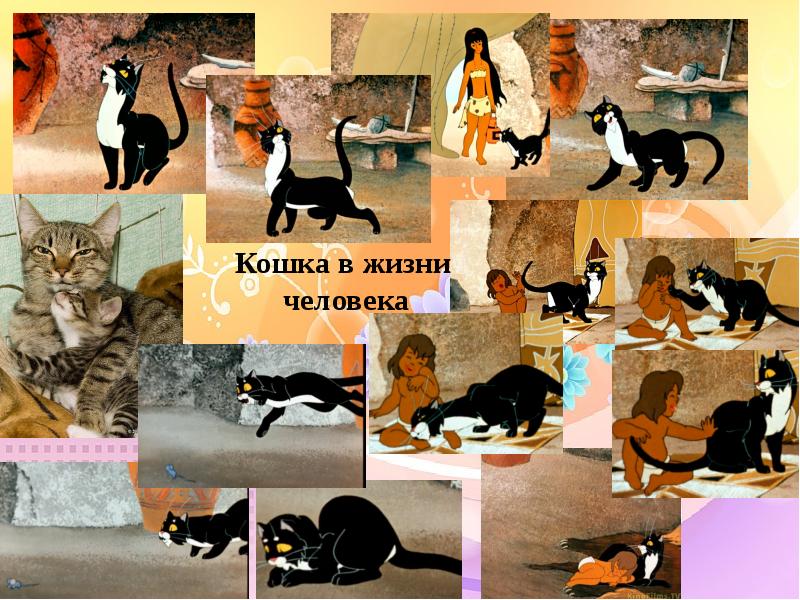 Класс кошки. Кошки в жизни человека. Проект на тему кошка в жизни человека. Роль кошки в жизни человека. Кошачьи жизни и человек.