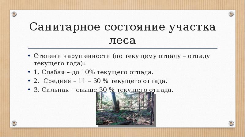 Состояние участка