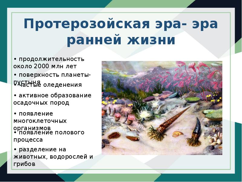 Жизнь в архее и протерозое презентация. Развитие жизни в архее и протерозое. Протерозой периоды. Протерозой климат.