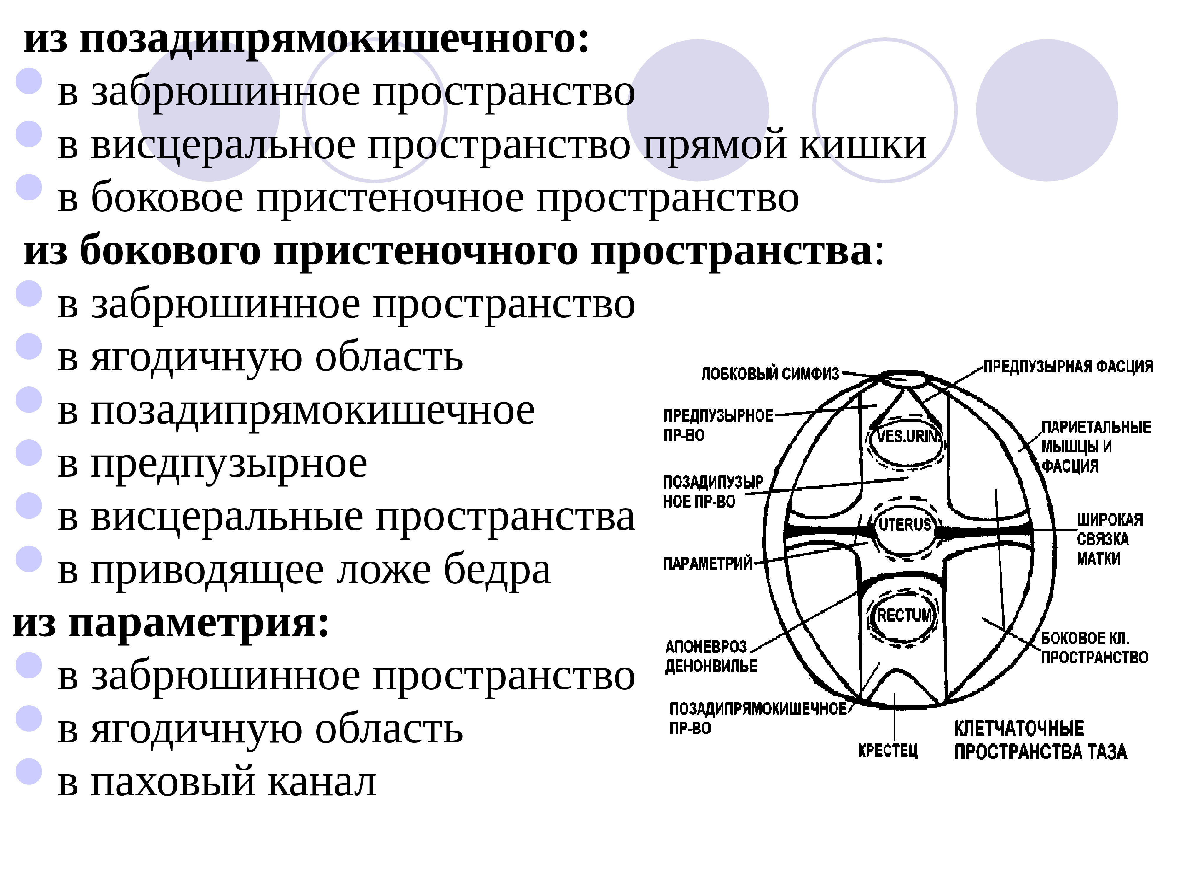 Поперечный распил малого таза на уровне 2 этажа схема