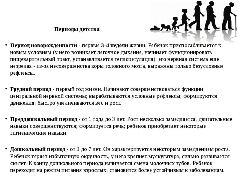 Периоды детства. Возрастная анатомия детей дошкольного возраста. Периодизация детства. Первый период детства.