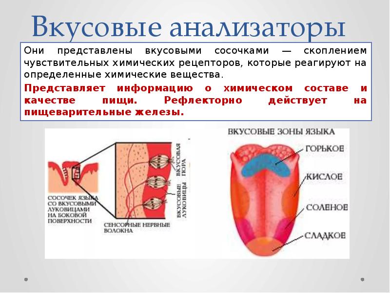 Блок схема вкусового анализатора