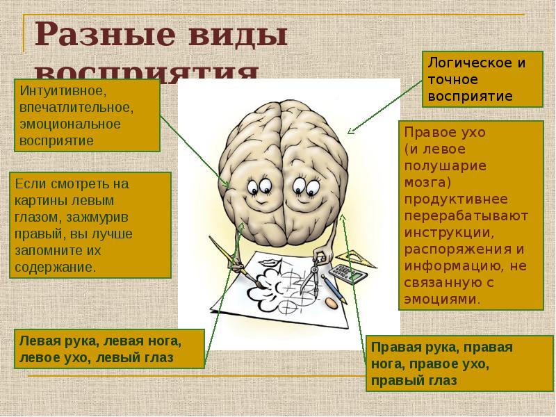 Восприятие учениками рисунков муляжей диапозитивов называется