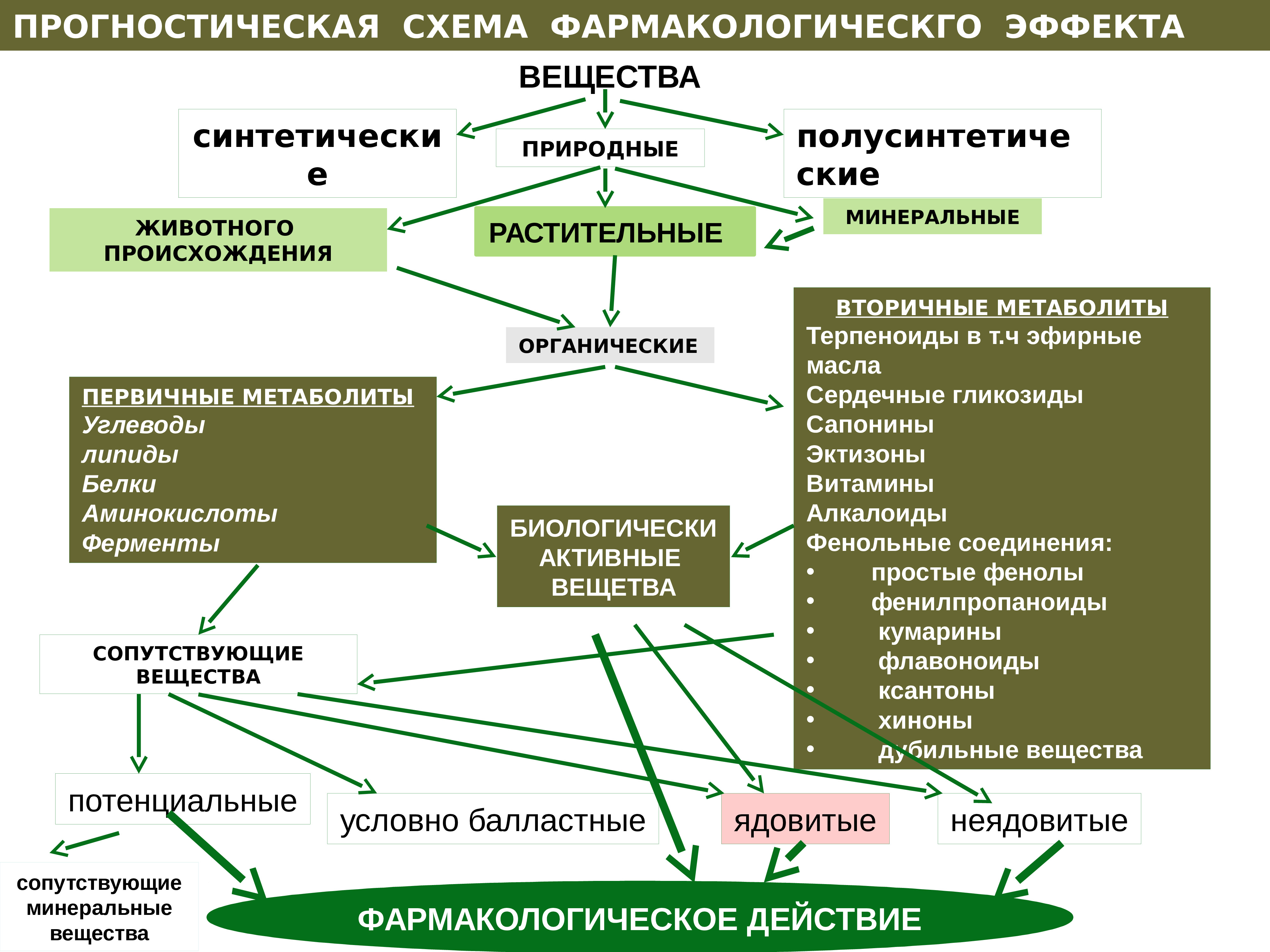 Схема товароведческого анализа