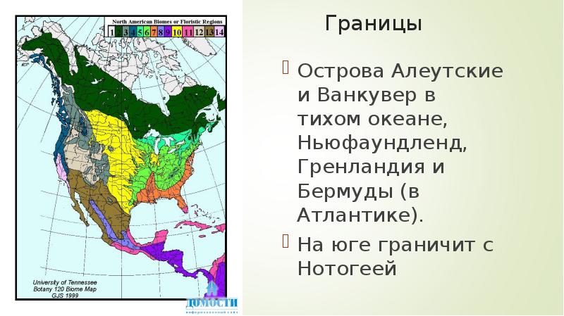 Границы
Острова Алеутские и Ванкувер в тихом океане, Ньюфаундленд, Гренландия и Границы
Острова Алеутские и Ванкувер в тихом океане, Ньюфаундленд, Гренландия и