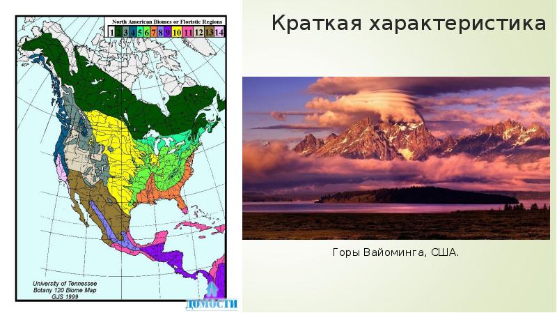 Краткая характеристика Краткая характеристика