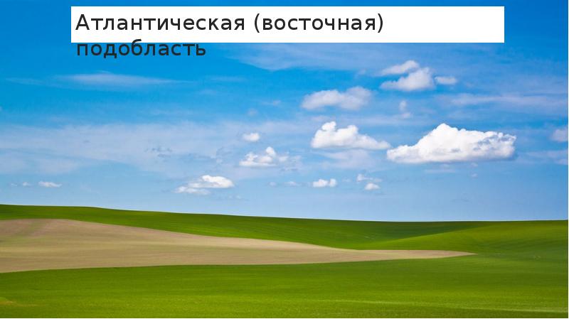 Атлантическая (восточная) подобласть Атлантическая (восточная) подобласть