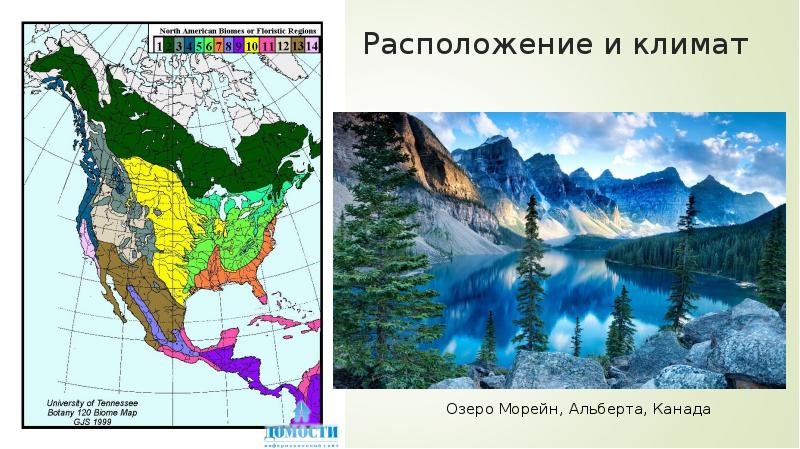 Бореальные леса северной америки карта