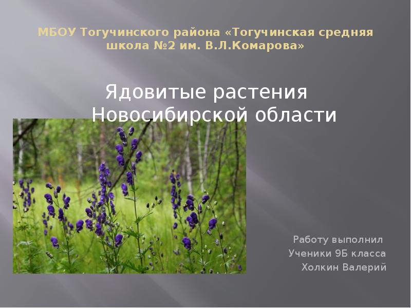 Ядовитые растения новосибирской области фото и описание
