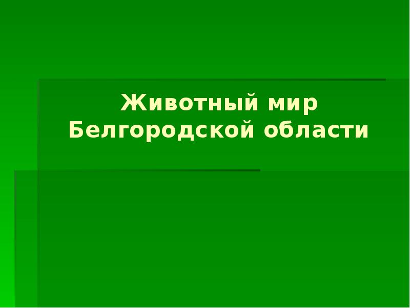 Животный мир белгородской области презентация